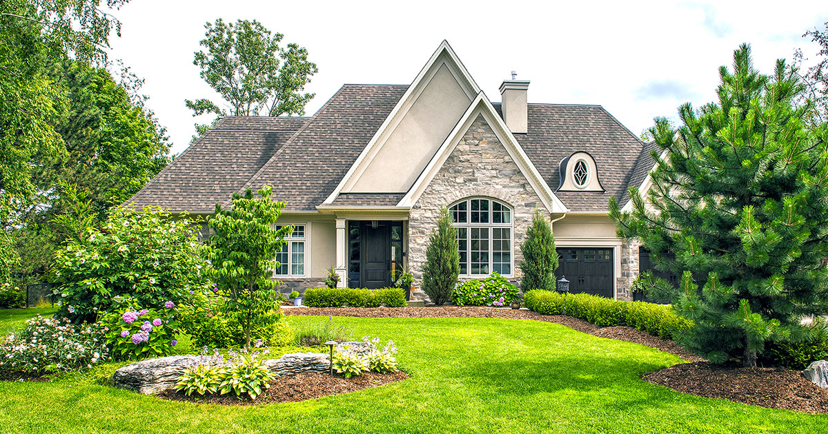 6 Easy Tips for a Promising  Yard